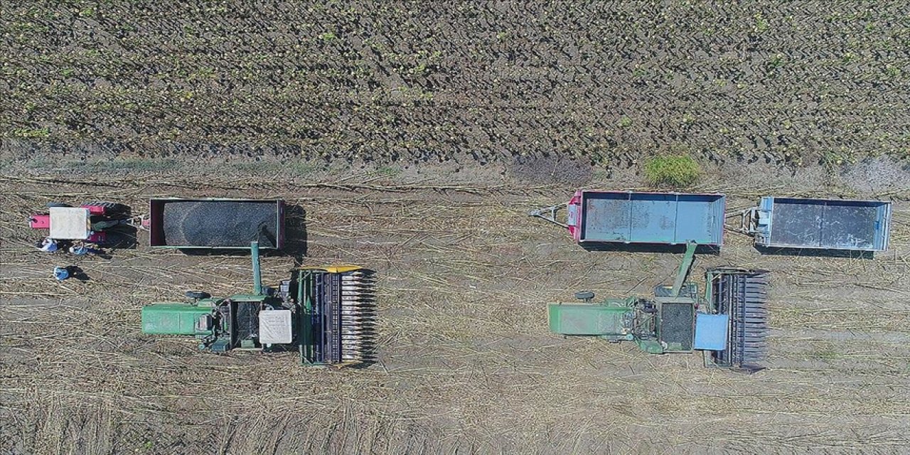 Destekleme ödemeleri hesaplara yatıyor