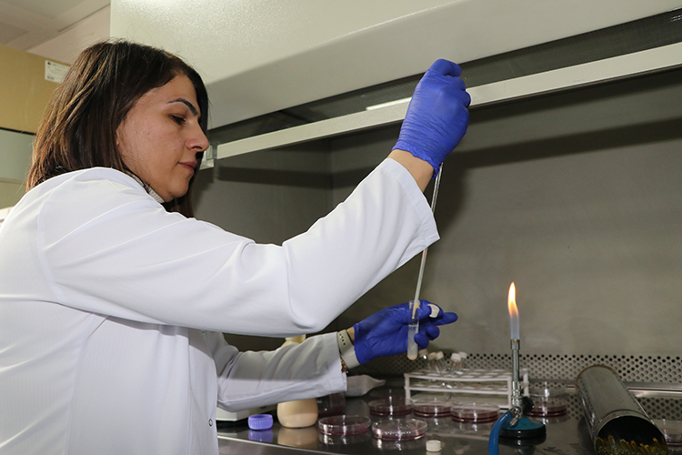 Gıdanın bozulduğunu renkle bildiren çalışma tescil aldı