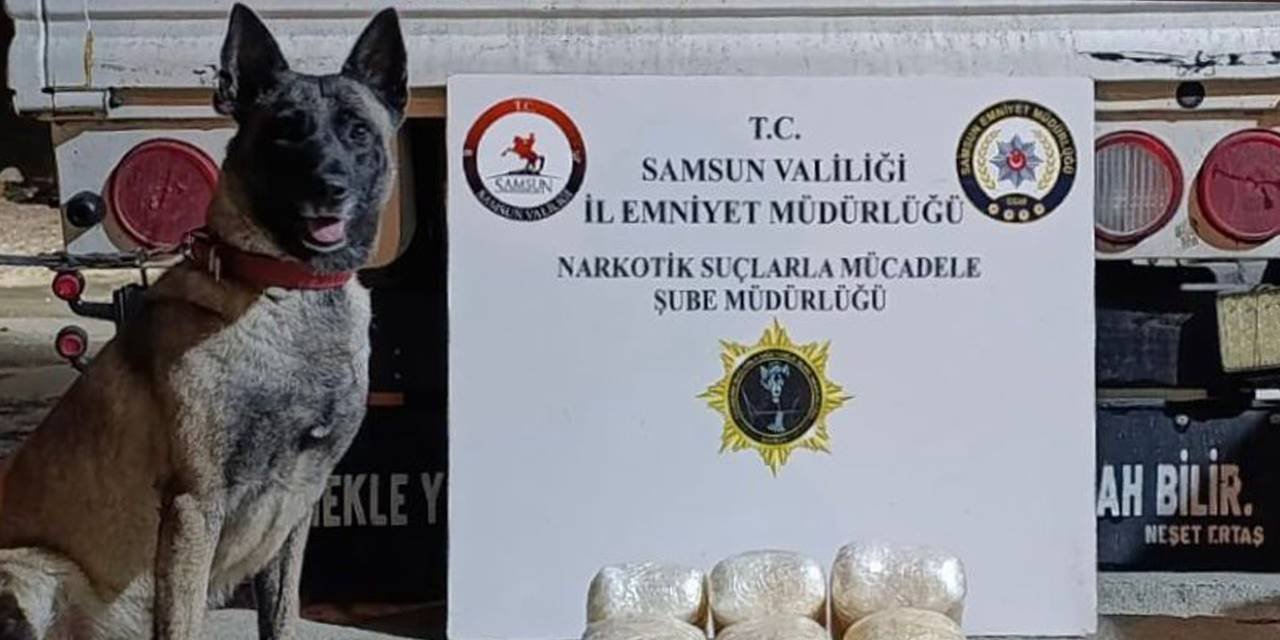 Saklanan uyuşturucuyu Şila'nın hassas burnu buldu