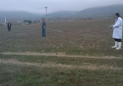 Farklı buğday türleri ekiliyor