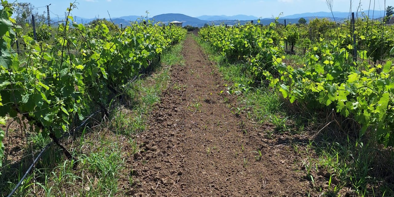 OMÜ'de yürütülen projeye TÜBİTAK'tan destek