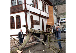Yeşilırmak yatağından taştı