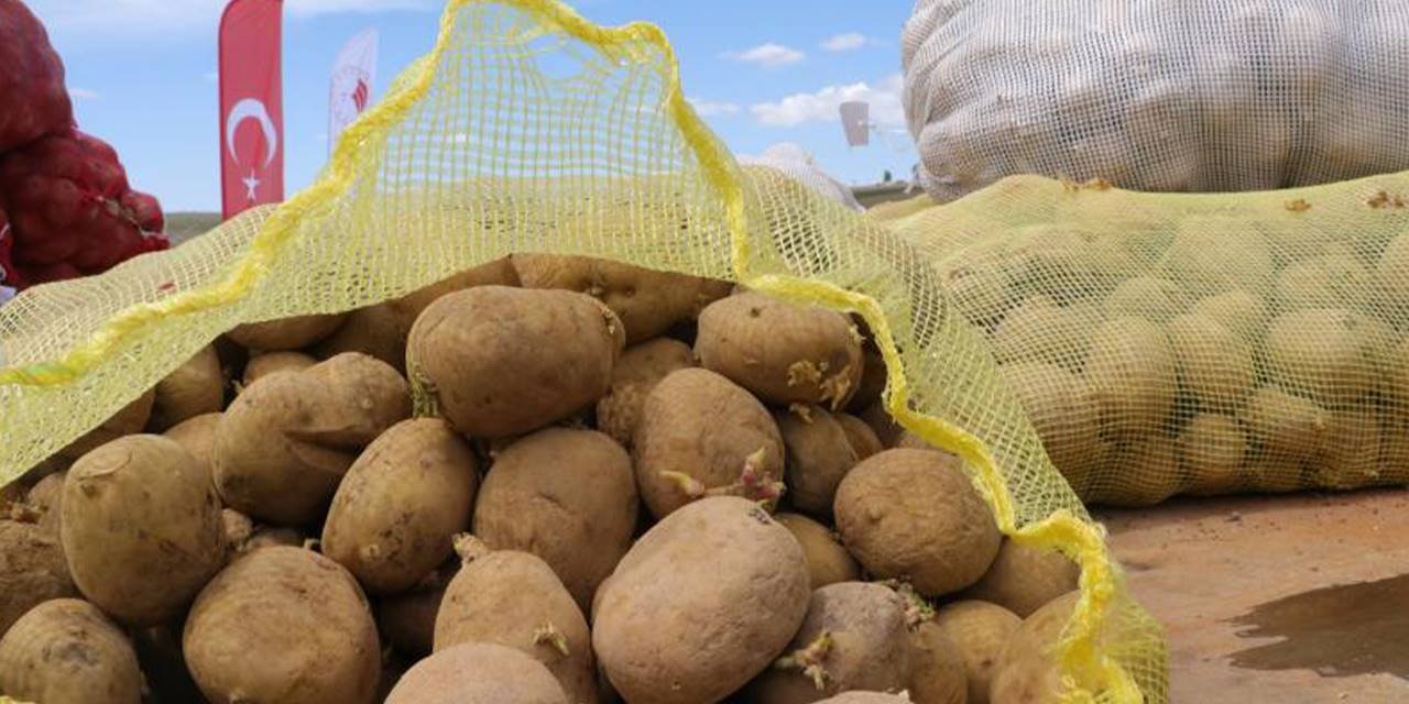 Ticaret Bakanlığından patates fiyatlarına ilişkin açıklama