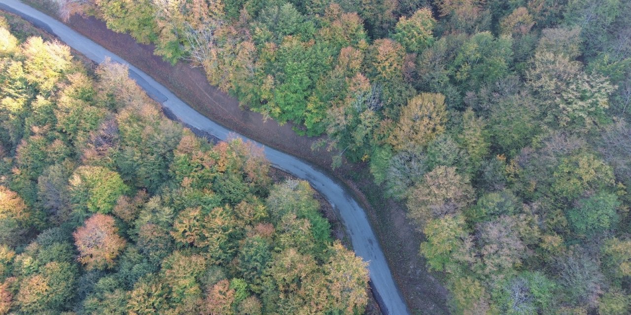 Samsun'da Yunt Dağı güz sarısına boyandı
