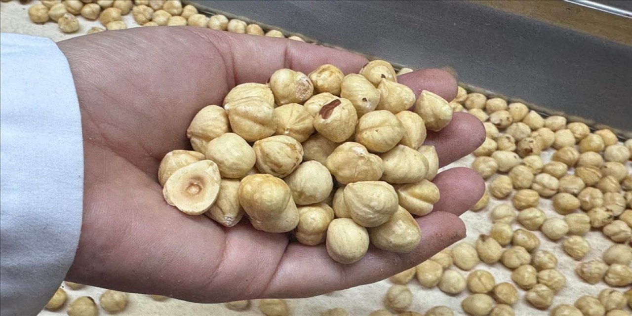 Fındık ihracatı dikkat çekti