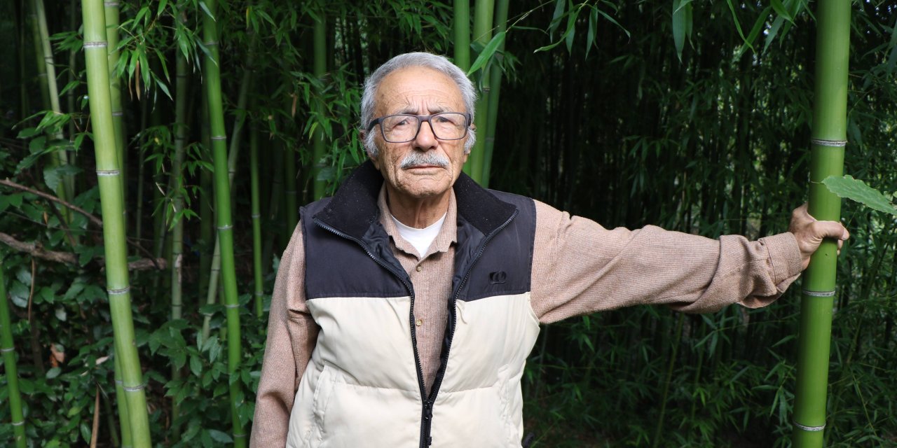 10 yıldır bahçesinde bambu yetiştiriyor