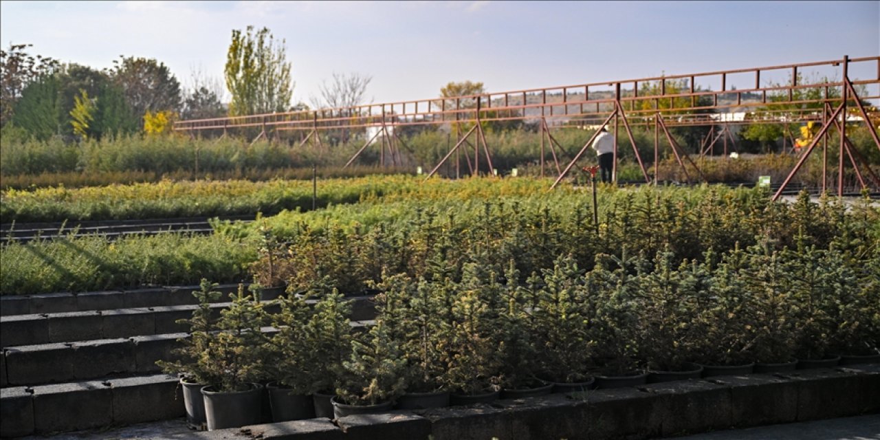 Hedef 15 milyon fidanın sahiplenilmesi