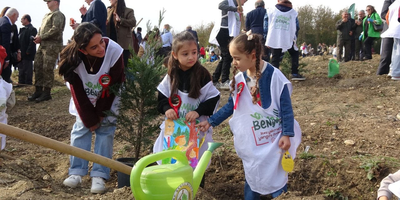 Samsun’da 37 bin 380 adet fidan toprakla buluştu