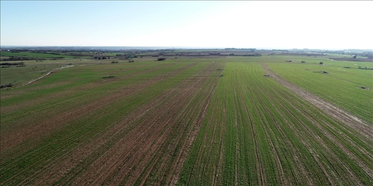 48,8 milyon metrekare arazi kiralandı