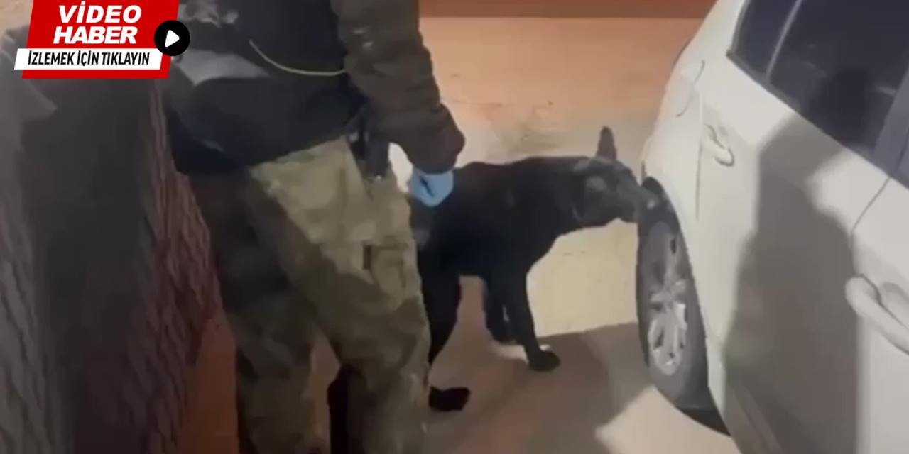 Gizlenen uyuşturucu Tony'nin desteğiyle bulundu