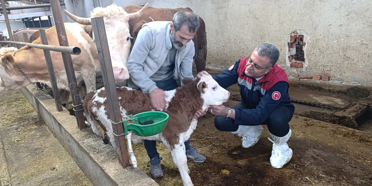 Müdür Yılmaz Ladik'te besicileri ziyaret etti