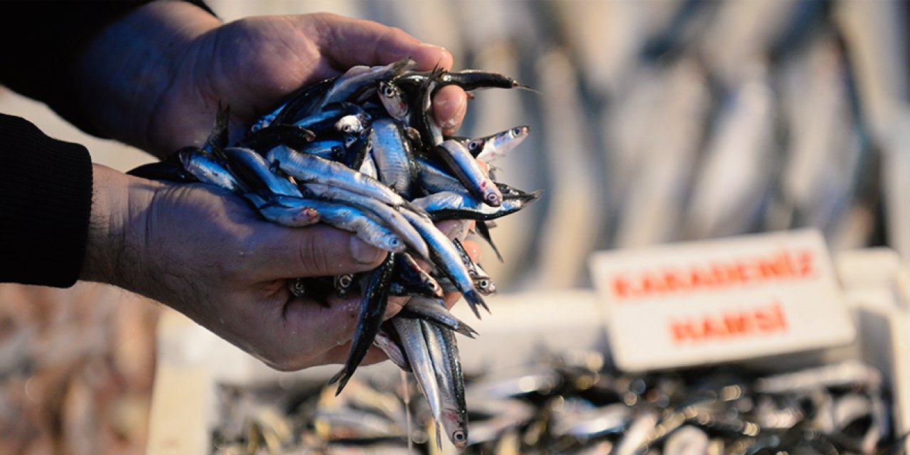 Hava soğudu, balık tezgahları hamsi ile doldu