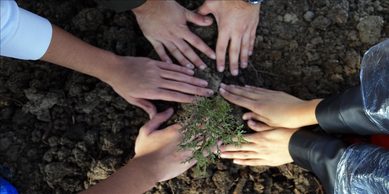 Milli Ağaçlandırma Günü'nde çifte rekor kırıldı