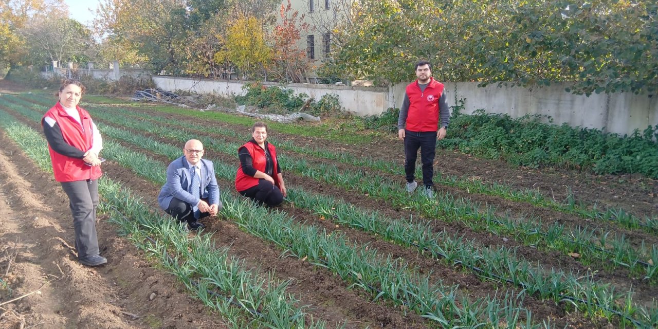 25 bin nergis soğanı dağıtıldı