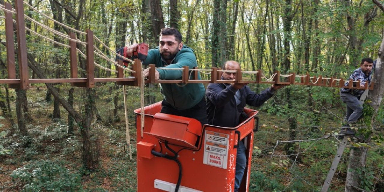 Ormanda sincaplar için köprü yaptılar