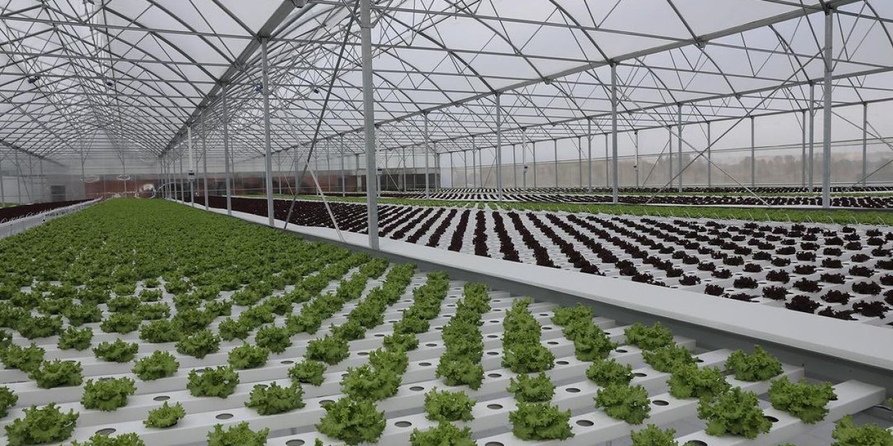 Bafra Ovası'nın yeni lokomotifi