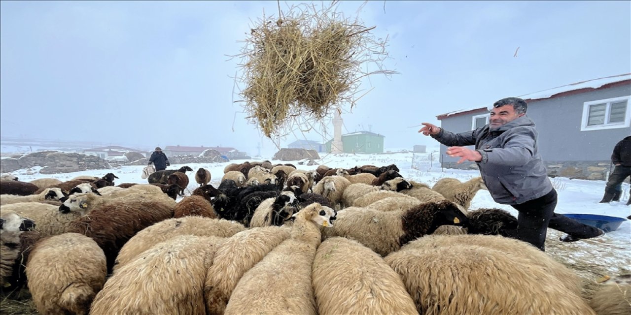 Besicilerin zorlu kış mesaisi başladı