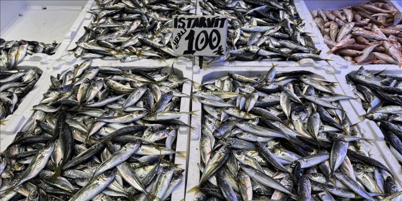 Hamsi ve istavrit 100 liradan satılıyor