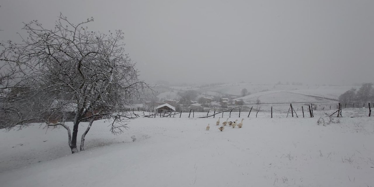 Asarcık'a mevsimin ilk karı düştü