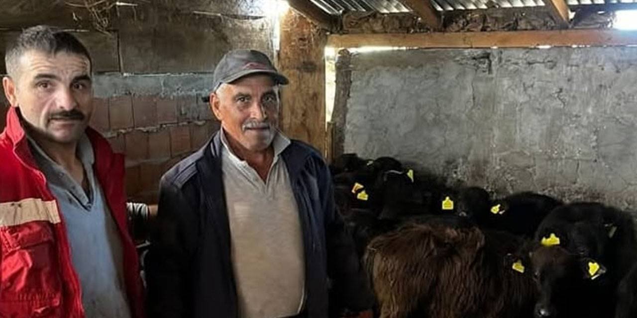 19 Mayıs'ta hayvan sağlığı çalışmaları sürüyor