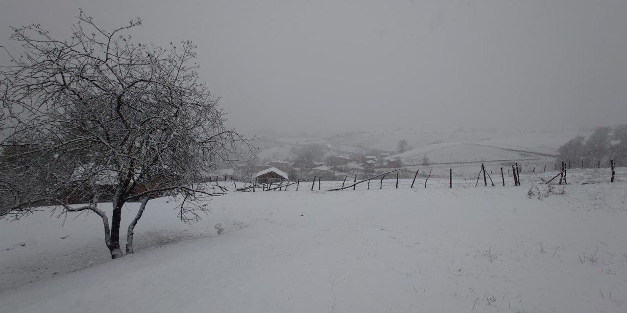 Asarcık'a mevsimin ilk karı düştü