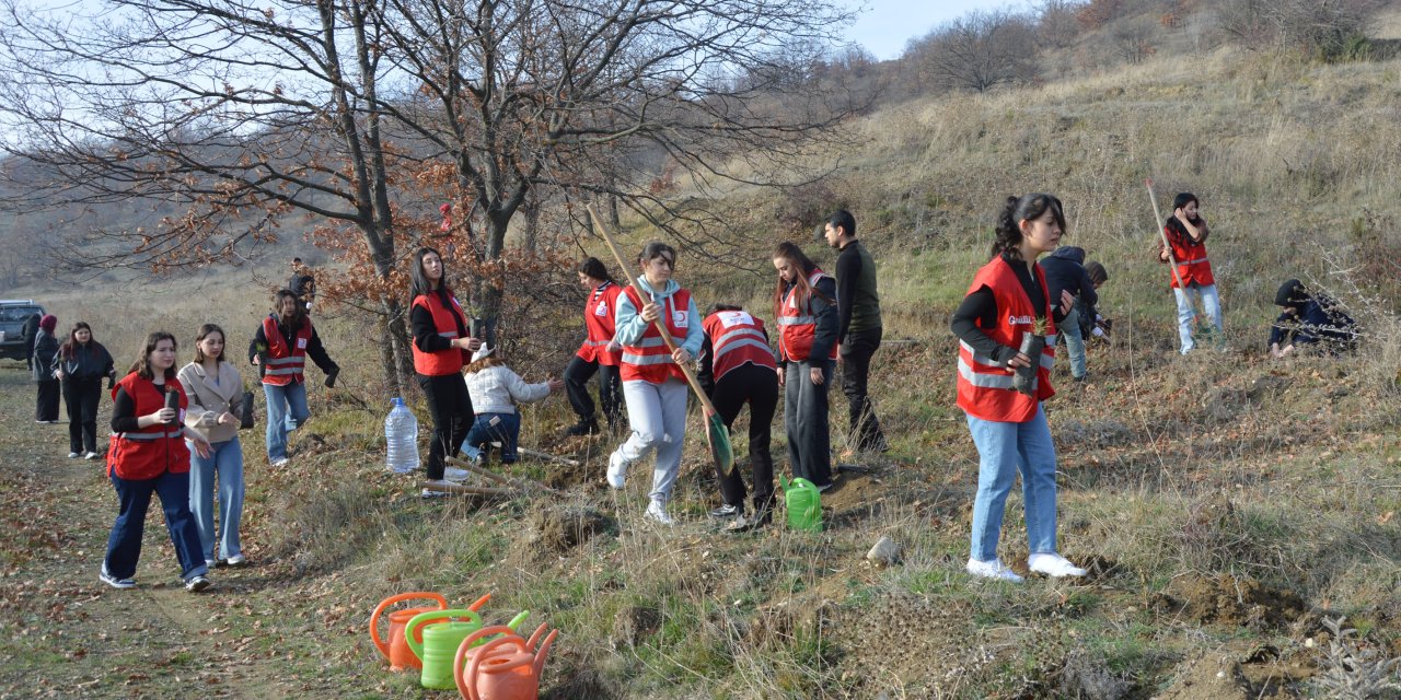 Genç Kızılay gönüllüleri fidan dikti