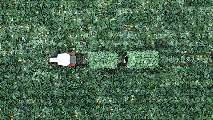 '31 Aralık’a kadar başvurun'