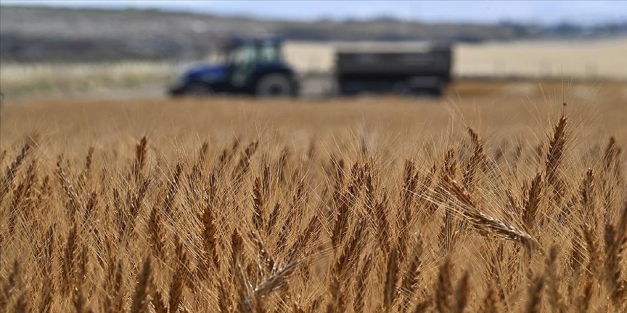 Tarımsal girdi fiyat endeksi artış gösterdi