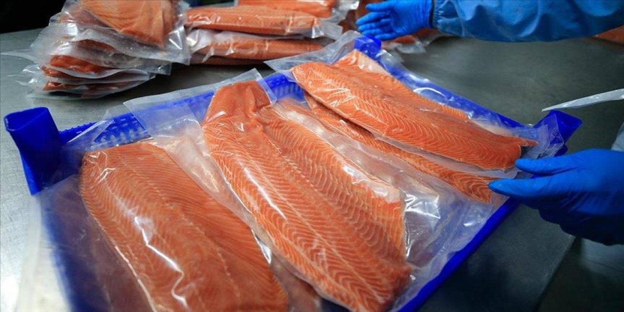 Türk somonu ihracatında hedef büyütüldü