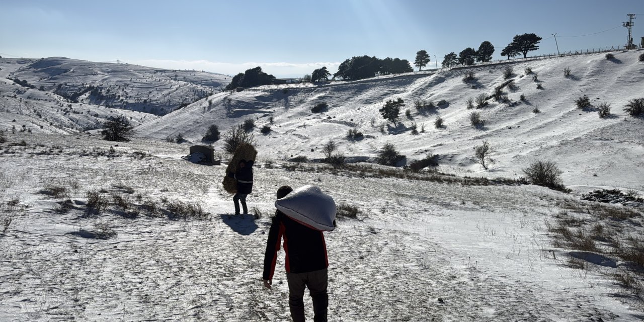 Samsun'da kar altındaki ormanlar dronla görüntülendi
