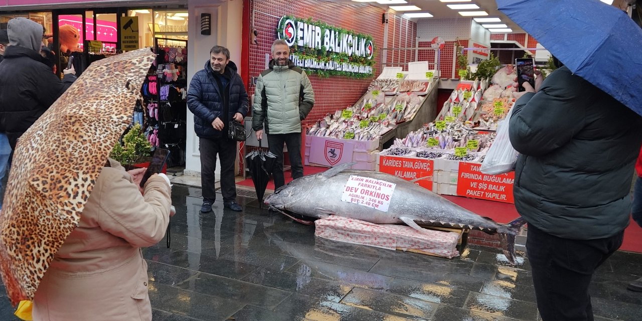 346 kiloluk orkinos Samsun’da satışa çıkarıldı