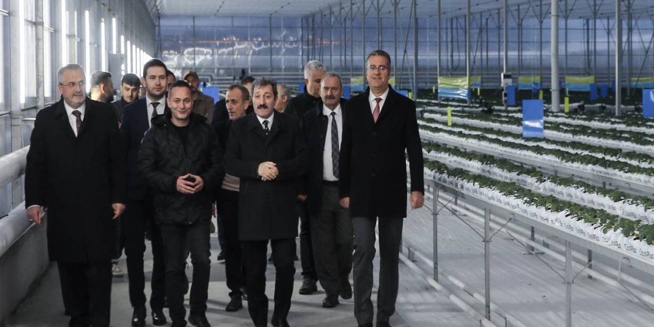 Bafra Sera Organize Tarım Bölgesi’nde incelemelerde bulundu