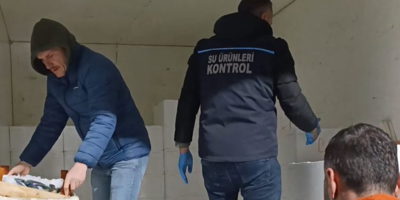 Samsun'da 3 ton mezgite el konuldu