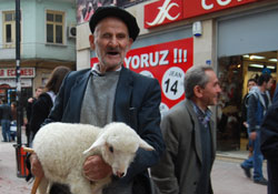 Küçük kuzu ilgi odağı oldu