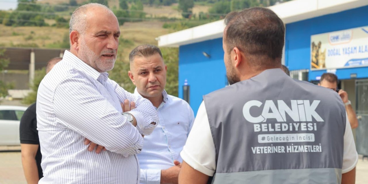 Sokak hayvanları tedavi ediliyor