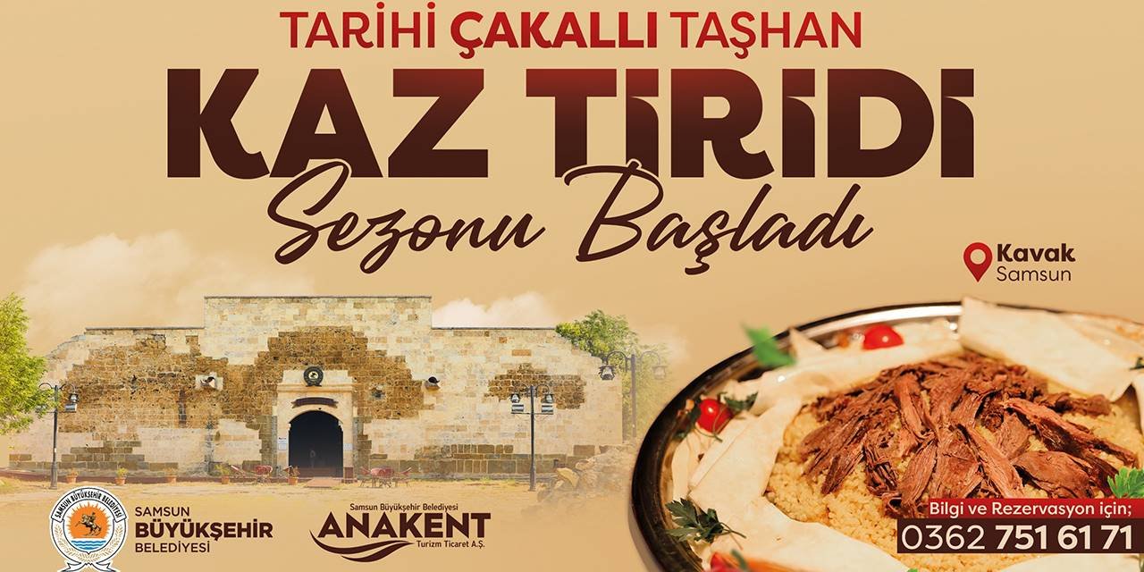 Taşhan Kaz Tiridi