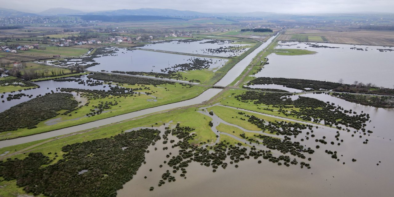 Zengin biyoçeşitliliği ile farklı türlere ev sahipliği yapıyor