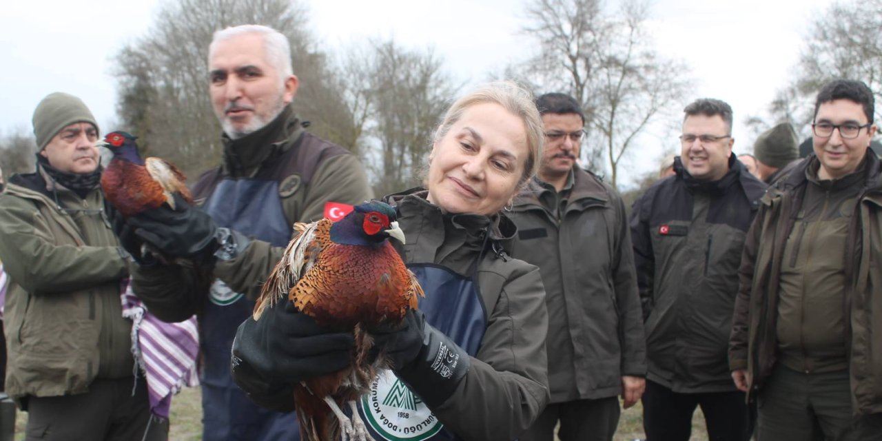Yaban hayvanları doğaya salındı