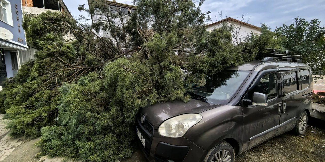 Ağaçların devrilmesi sonucu 3 araç zarar gördü.​​​​​​