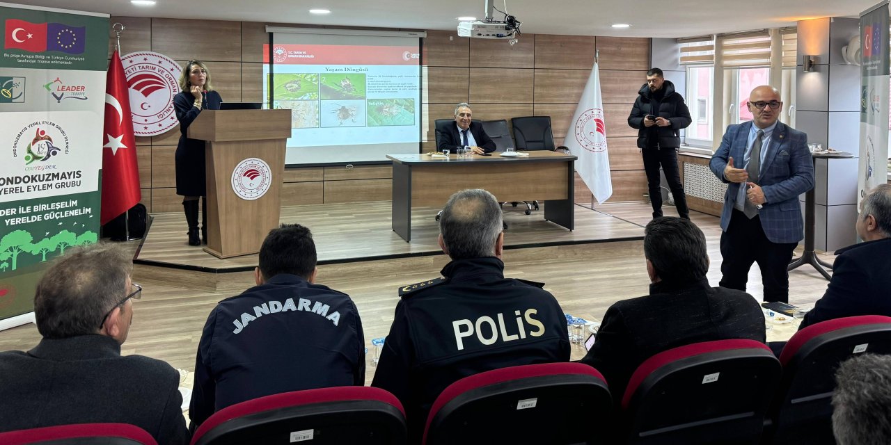 Kahverengi kokarca ile mücadele çalışmaları sürüyor