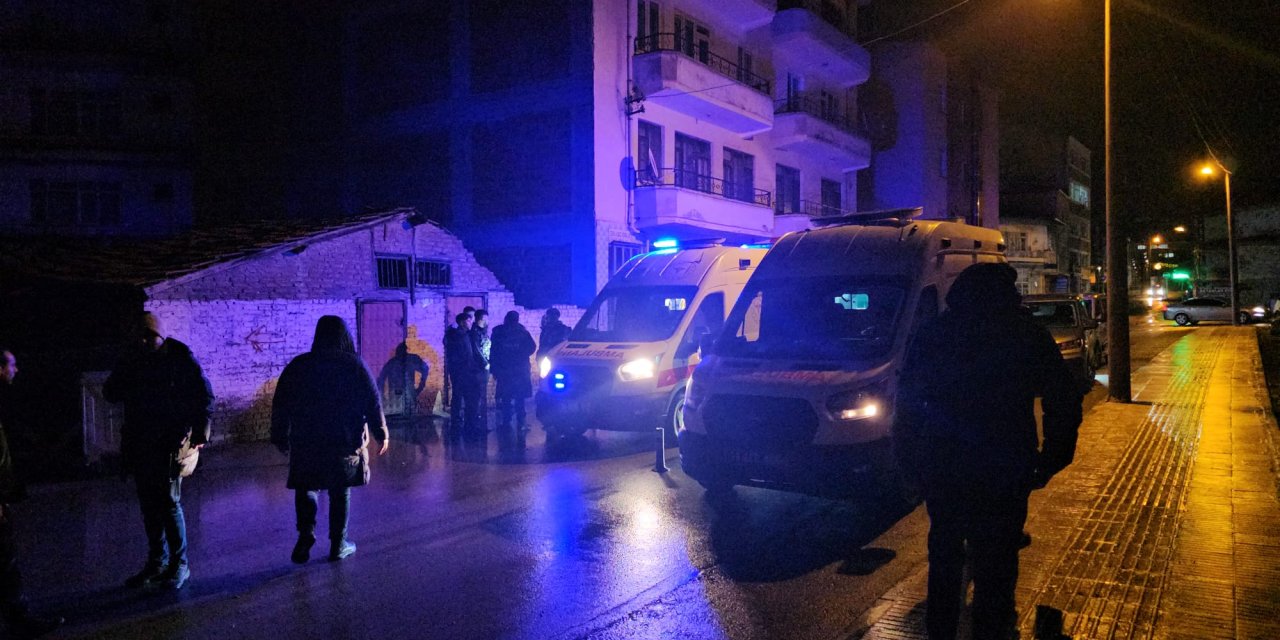 Silahlı saldırıda iki kişi yaralandı