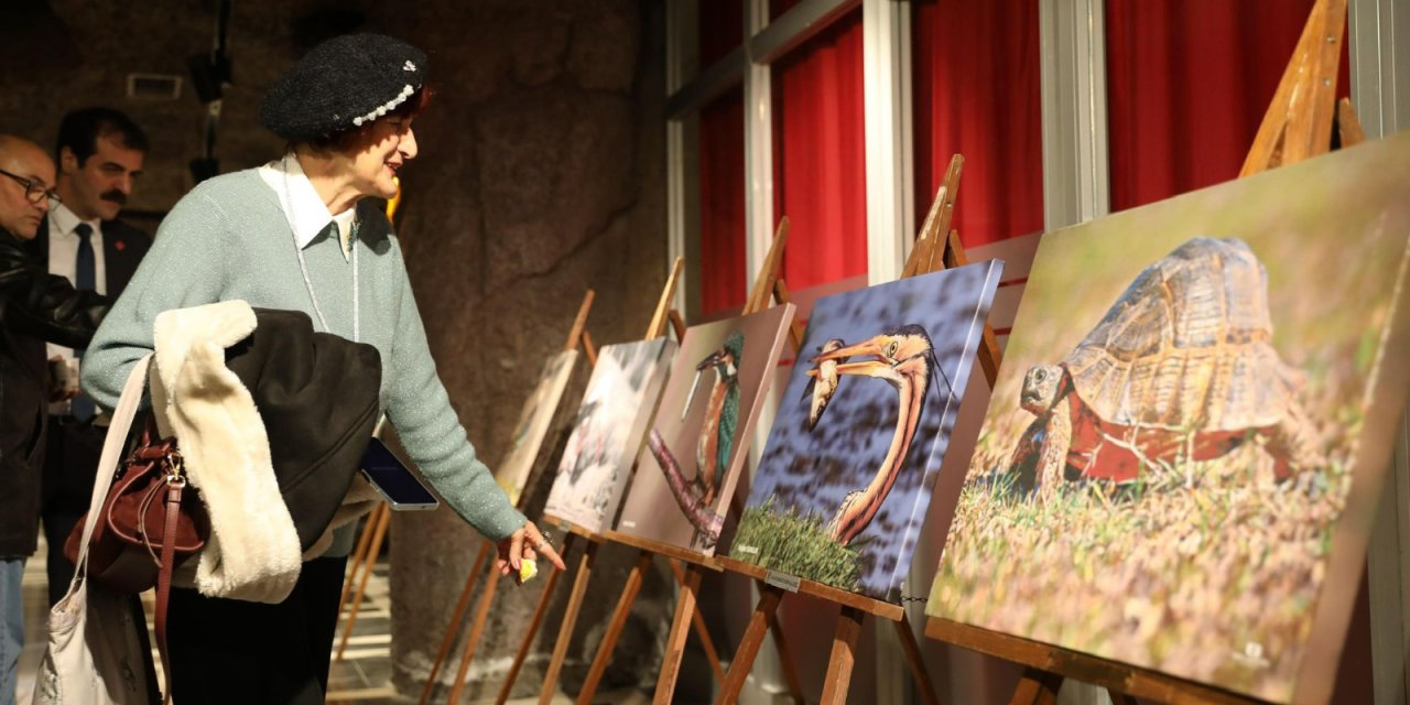 Kızılırmak Deltası Karma Fotoğraf Sergisi büyük ilgi gördü