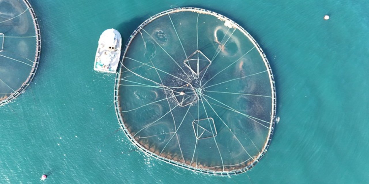 6 bin ton üretim gerçekleşti