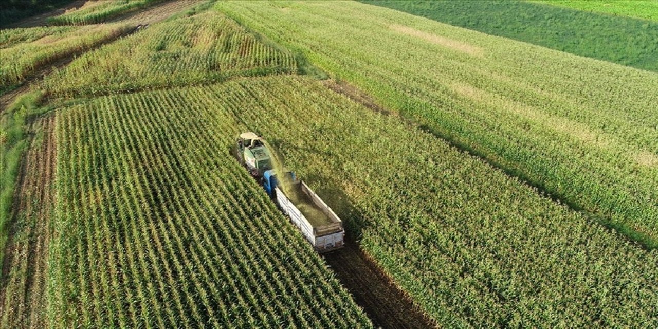 Kırsal kalkınma 65,5 milyar liralık yatırımla desteklenecek