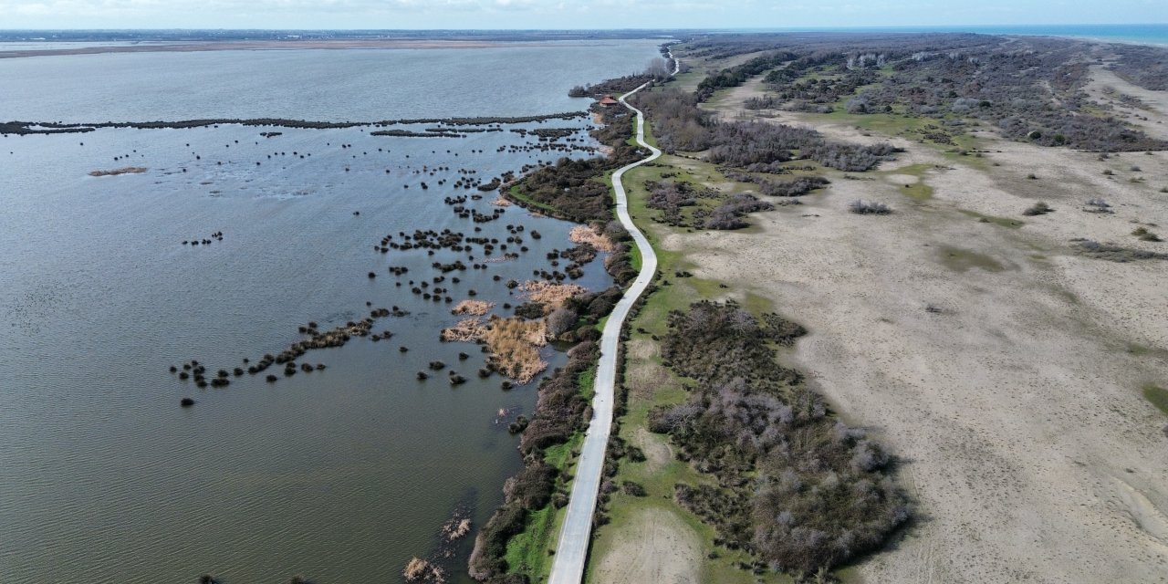 Su seviyesi yükseldi ekosistem canlandı