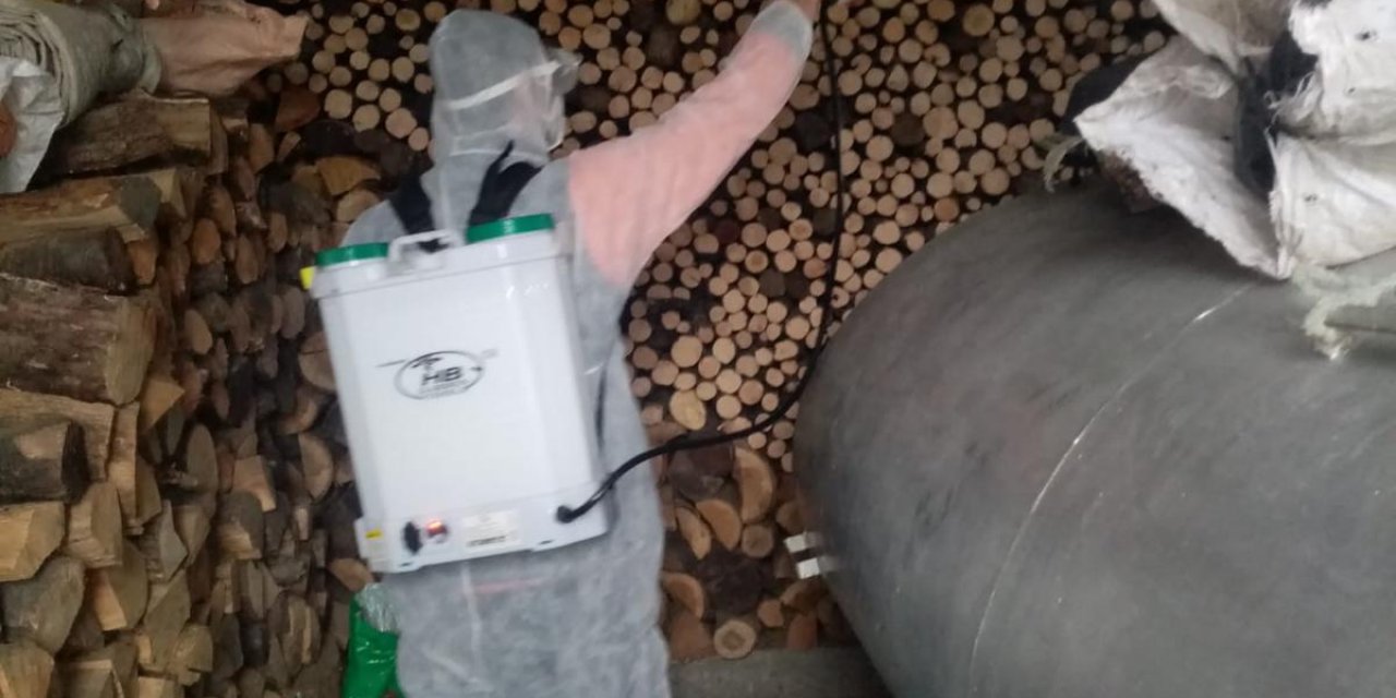 Kahverengi kokarca ile mücadele devam ediyor