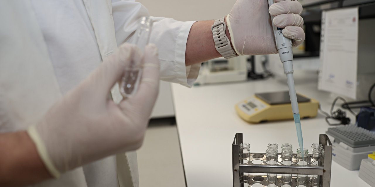 Evde içilen sigara evcil hayvanları da etkiliyor