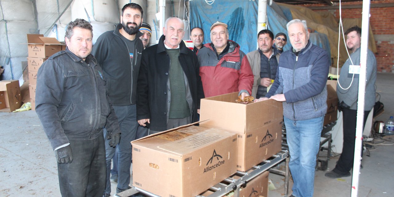 Samsun'da tütün alımı devam ediyor