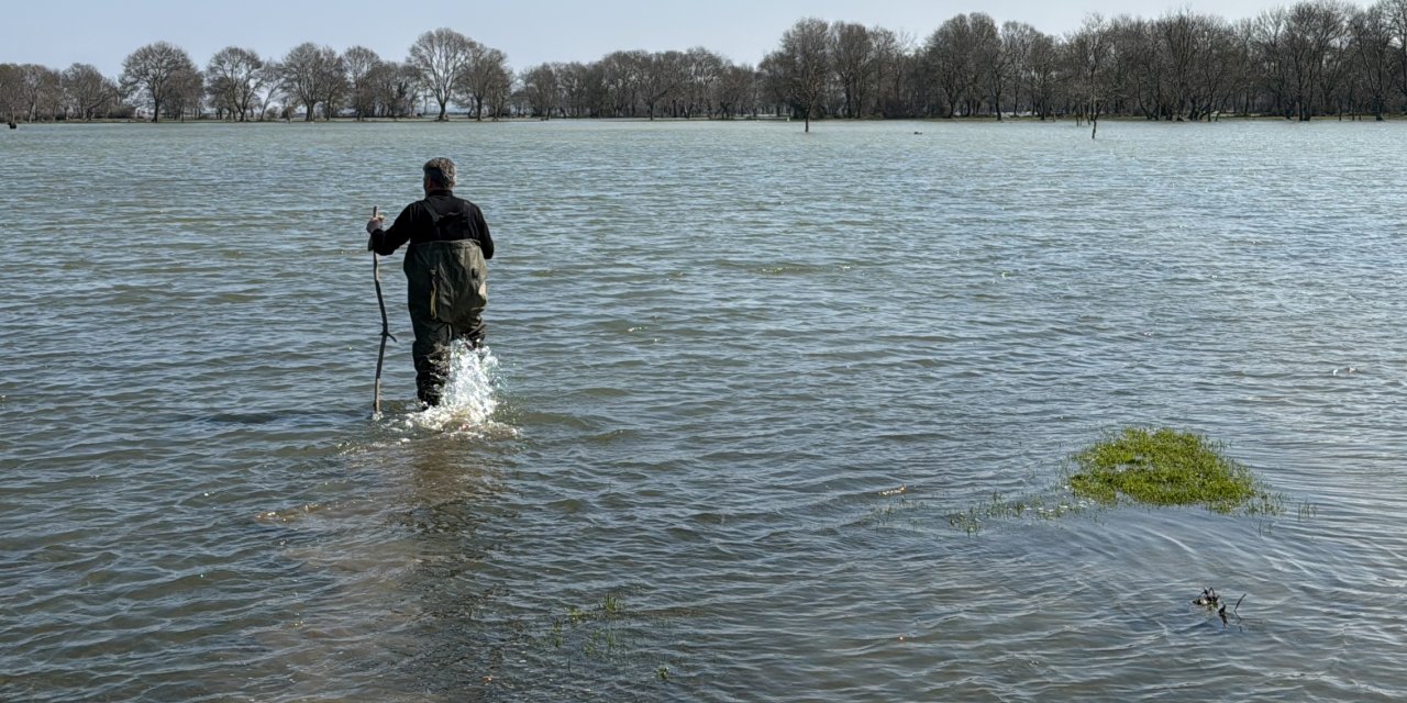 Alaçam'da tıbbi sülük avcılığı yapılıyor