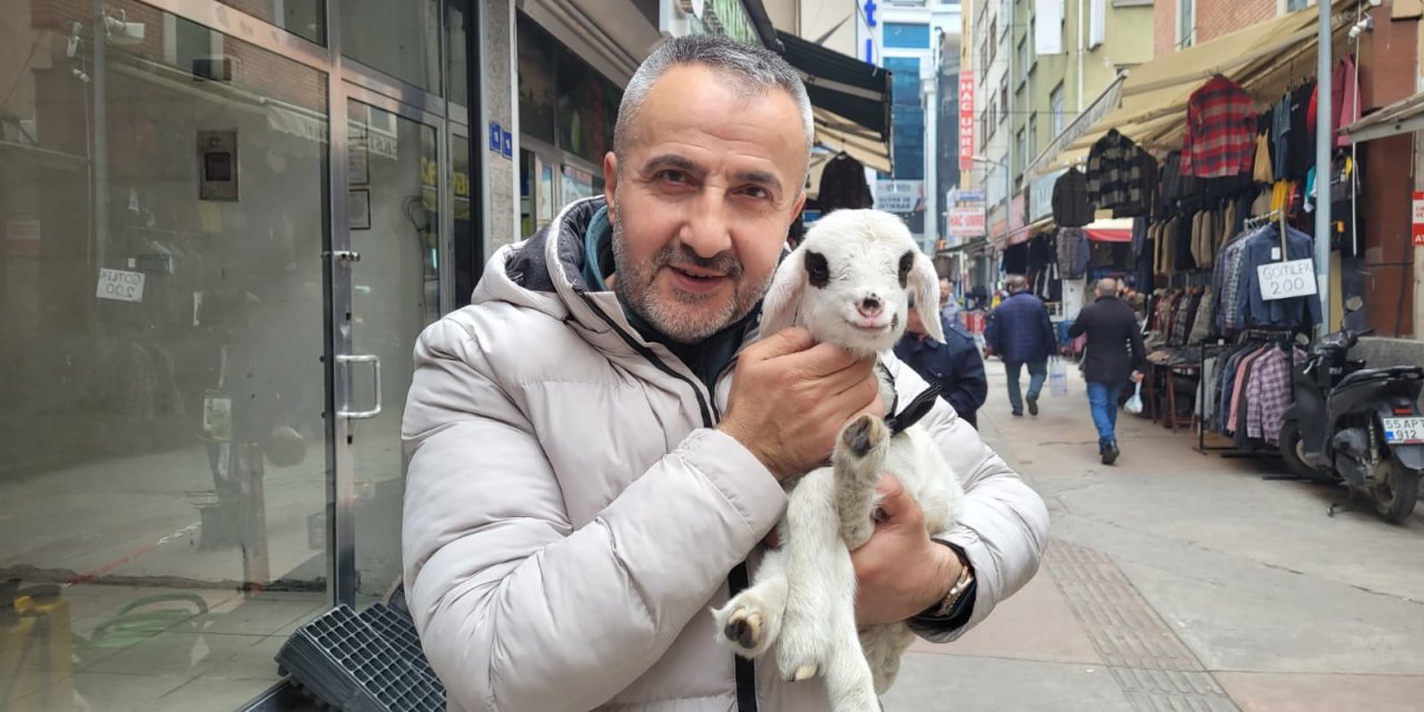 Sahiplendiği kuzuyu yanından ayırmıyor